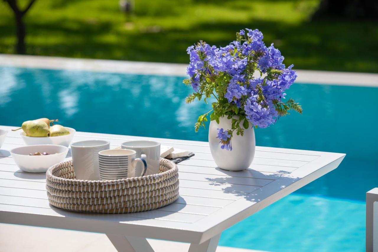 Averto Villas With Private Pool Nydri  Exterior foto