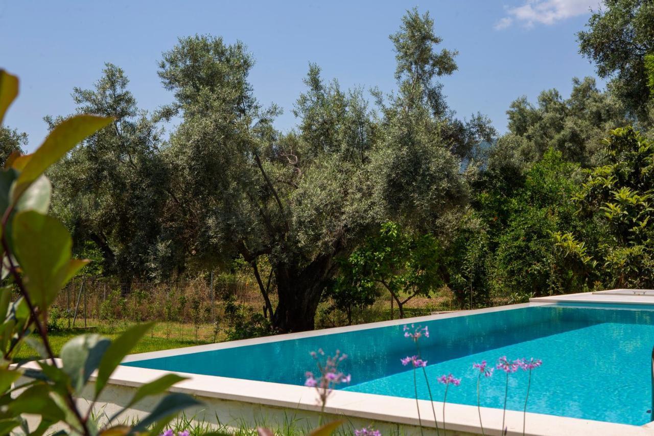 Averto Villas With Private Pool Nydri  Exterior foto